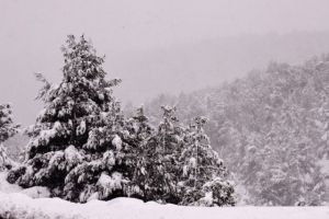 Καιρός – «Μήδεια» : Έρχεται ένας από τους ισχυρότερους χιονιάδες της τελευταίας 15ετίας