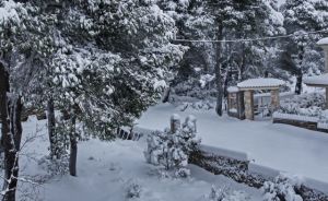 Eκκληση για εκχιονιστικά στην Ιπποκράτειο Πολιτεία  από τον δήμο Ωρωπού