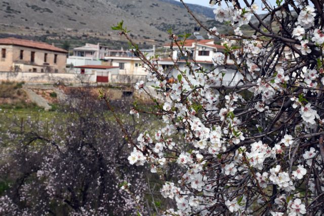 Σκαρφαλώνει ο υδράργυρος – Που θα αγγίξει τους 20 βαθμούς η θερμοκρασία