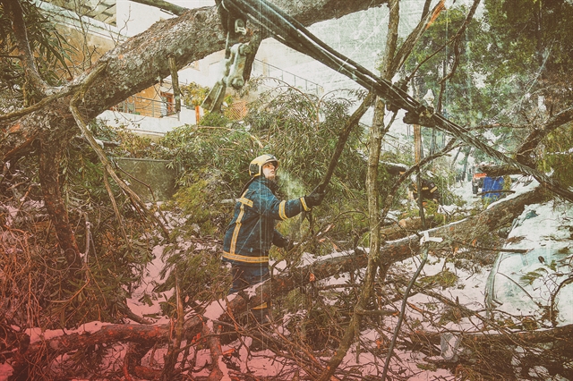 Η «Μήδεια» και τα καλώδια