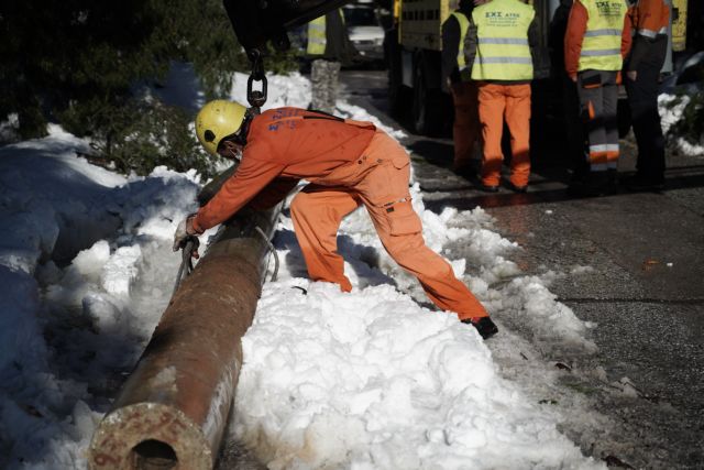 Εύβοια: Άνδρας καταπλακώθηκε από δέντρο