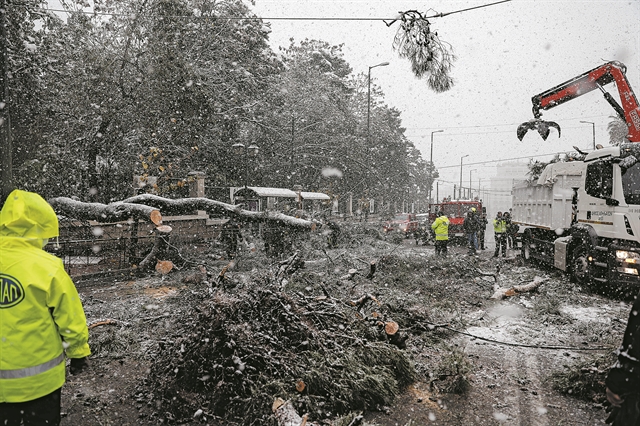 Επεφταν τα δέντρα το ένα μετά το άλλο στα καλώδια – Ανοίγει δρόμους ο Στρατός