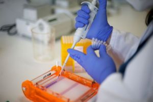 Ελπιδοφόρα αποτελέσματα από πειραματικό εμβόλιο για σπάνια μορφή καρκίνου του ήπατος