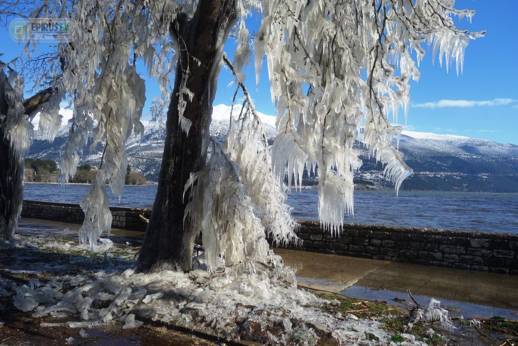 Η «Μήδεια» κάνει και Τέχνη: Παγετός και γλυπτά της φύσης πλάι στην λίμνη των Ιωαννίνων