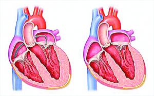 ΚΑΡΔΙΟ… ΓΡΑΦΗΜΑΤΑ