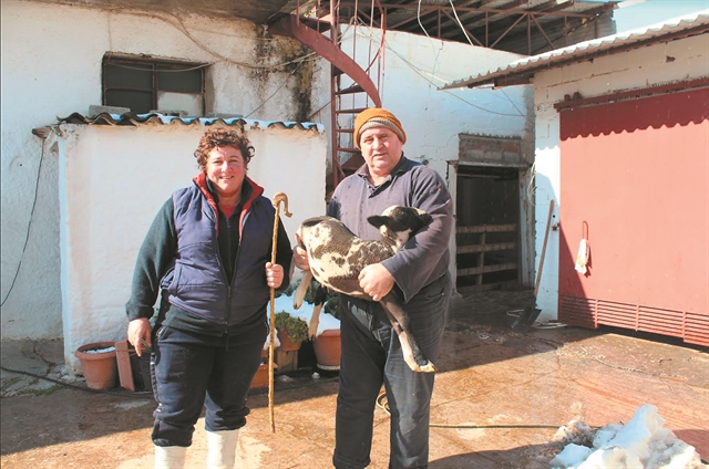 Οι τσοπάνηδες των Αθηνών