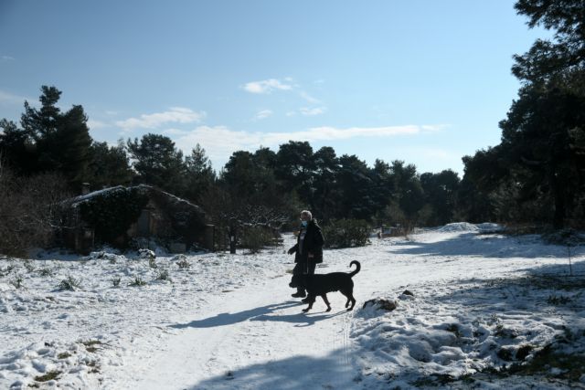 Καιρός : Έκτακτα μέτρα της Πολιτικής Προστασίας για την κακοκαιρία «Μήδεια»