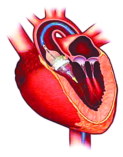 ΚΑΡΔΙΟ…ΓΡΑΦΗΜΑΤΑ