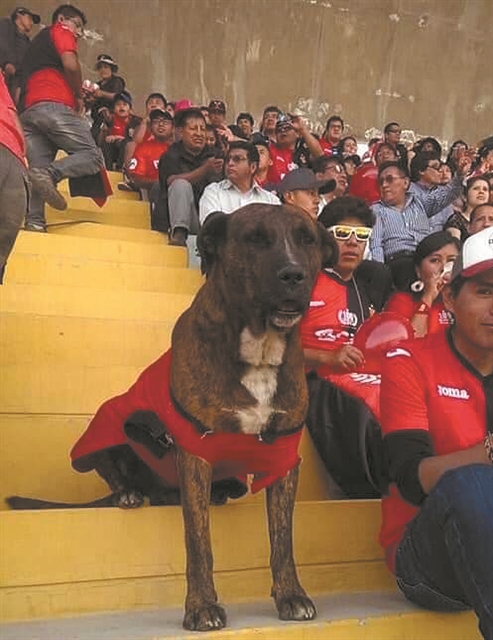 Η αθώωση Μαρινάκη στην AIPS