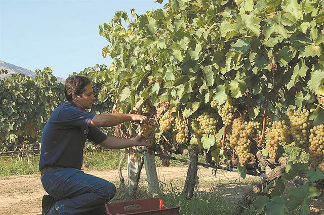 Ζαλίζουν τα απούλητα κρασιά