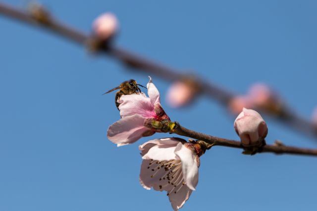 Δείχνει τα δόντια του ο Μάρτης με βροχές, καταιγίδες και… χιόνια