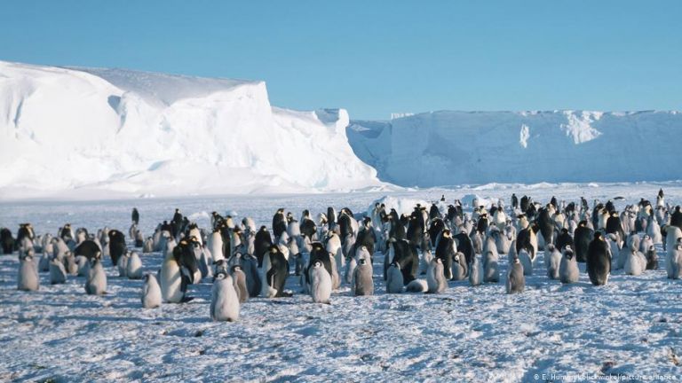 Ανταρκτική : Τι είναι αυτό που έχει τρομοκρατήσει τους περιβαλλοντολόγους | tanea.gr