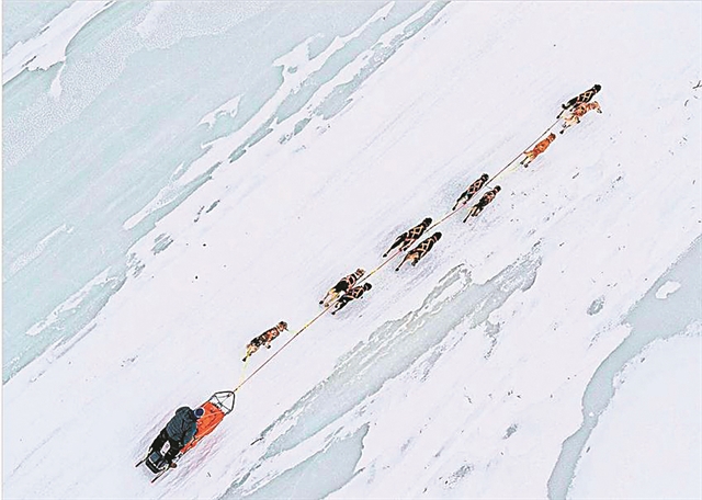 Οι 28+2 προπονητές των 14 ομάδων