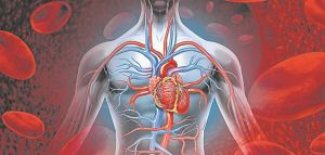 ΚΑΡΔΙΟ…ΓΡΑΦΗΜΑΤΑ