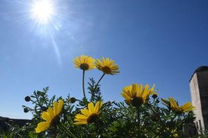 Αίθριος καιρός την Τετάρτη με άνοδο της θερμοκρασίας