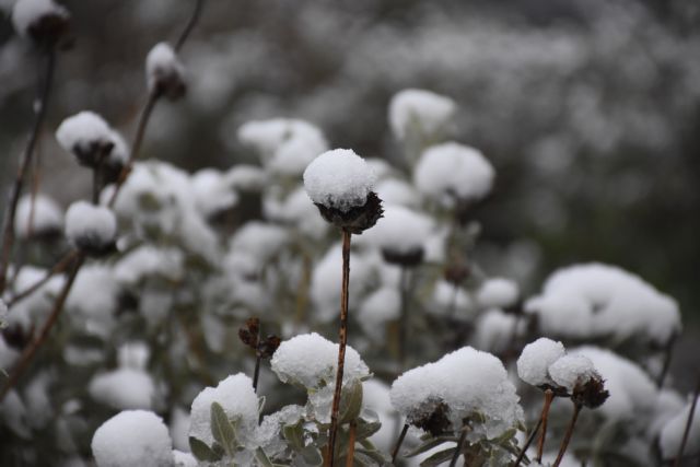 Eφτασε στην Αττική ο... χιονιάς – Επεσαν οι πρώτες νιφάδες στην Πάρνηθα | tanea.gr