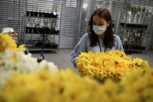 Είναι κοροναϊός ή αλλεργία; Αυτά τα συμπτώματα θα σου δώσουν την απάντηση