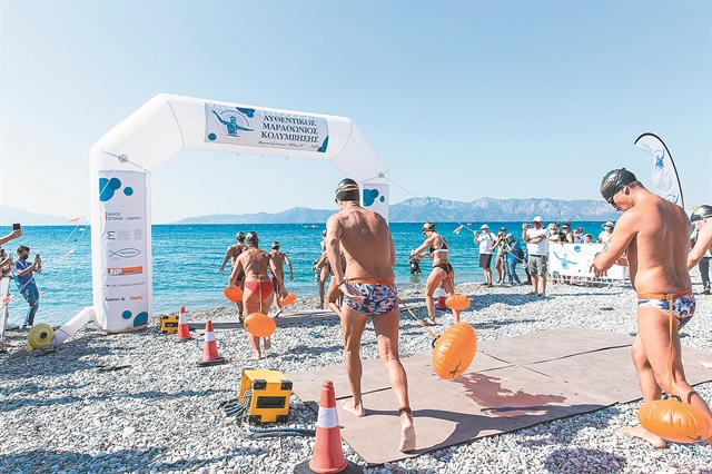 Απλωτές πάνω από τα ναυάγια της ναυμαχίας του Αρτεμισίου