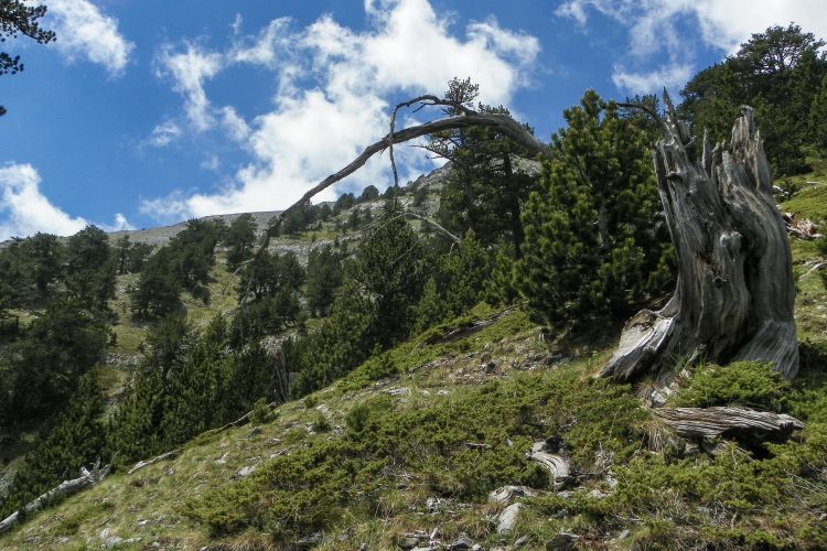 Εξάμηνη παράταση για τις αντιρρήσεις