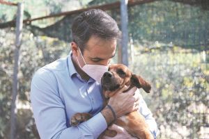 Τοξικότητα και ανθρωποφαγία στα σόσιαλ μίντια