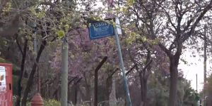 Φρικιαστικές μνήμες των επιθέσεων με βιτριόλι «ξύπνησαν» στην Κυψέλη