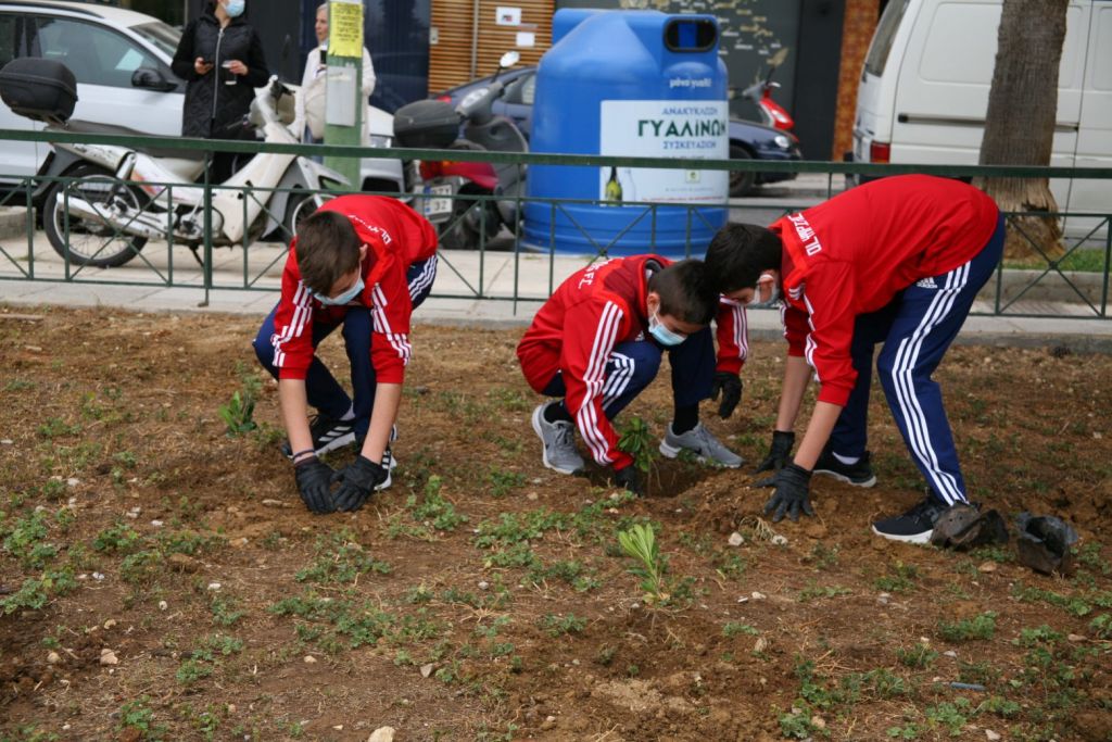 Δενδροφυτεύσεις στην παραλία της Φρεαττύδας και στα παρτέρια της Ζέας