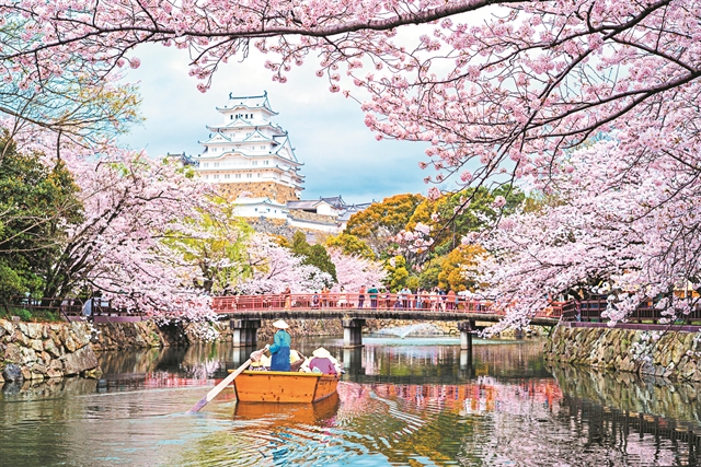 Οι αναγνώστες των «ΝΕΩΝ», οι αμυγδαλιές και οι κερασιές