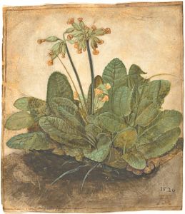 Οι τουλίπες της Leyster, οι πασχαλιές του Durer…