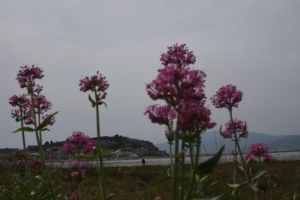 Αστατος ο καιρός την Μ. Τετάρτη με τοπικές βροχές και αφρικανική σκόνη