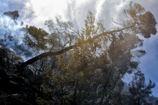 Τεράστια περιβαλλοντική καταστροφή – Στάχτη μισό βουνό