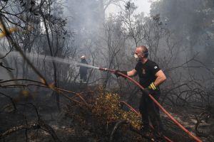 Αποκάλυψη: Στις 18 περιοχές «υψίστου κινδύνου» της Αττικής για πύρινη καταστροφή το Αλεποχώρι