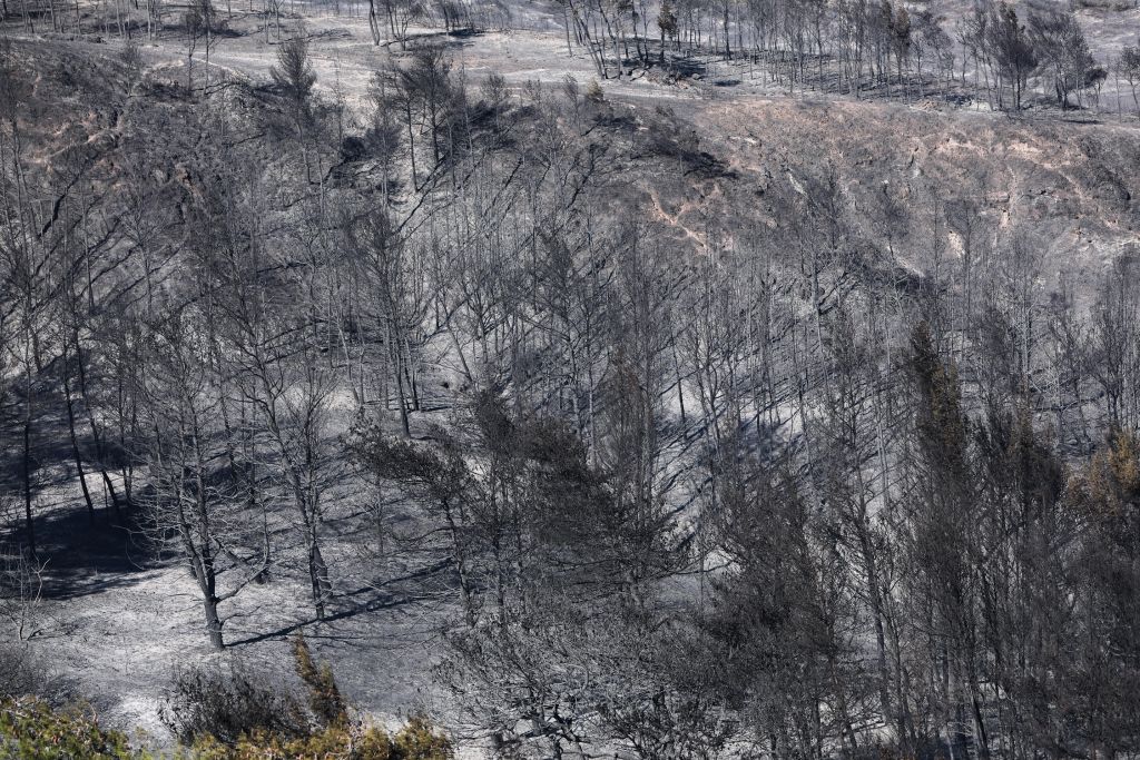 Φωτιά στην Κορινθία: «Δεν ξεκίνησε από αμέλεια η πυρκαγιά»