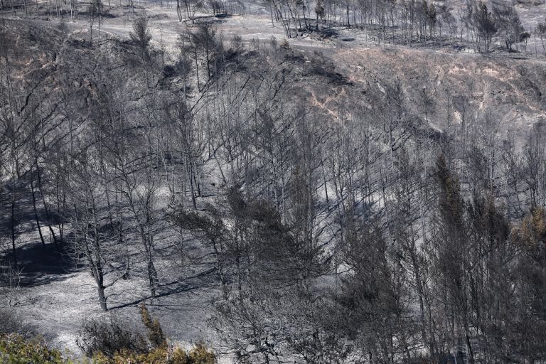 Φωτιά στην Κορινθία: «Δεν ξεκίνησε από αμέλεια η πυρκαγιά» | tanea.gr