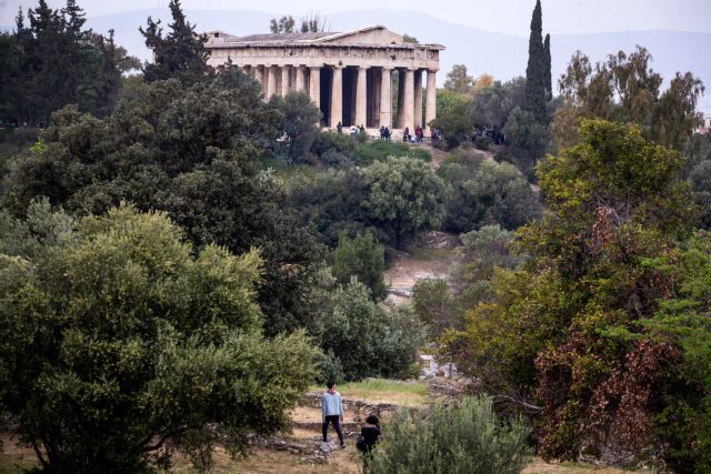 Ακρόπολη: Δεν θα πιστεύετε πόσα είδη φυτών υπάρχουν γύρω