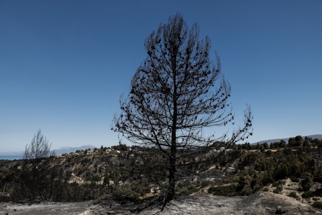 Σε ύφεση η φωτιά στην Κορινθία