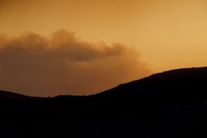 Πυρκαγιά: Άνιση μάχη με τις φλόγες λόγω των θυελλωδών ανέμων – Τρόμος σε Μέγαρα και Αλεποχώρι εν αναμονή των εναέριων μέσων