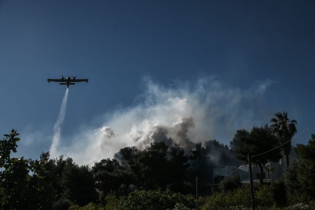 Χαρδαλιάς για φωτιά σε Κορινθία και Αττική: Στάχτη πάνω από 40.000 στρέμματα δάσους – Καταστροφές σε σπίτια