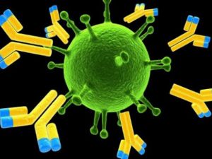 Κοροναϊός: Οσοι έχουν αντισώματα μπορούν να μεταδώσουν τον ιό