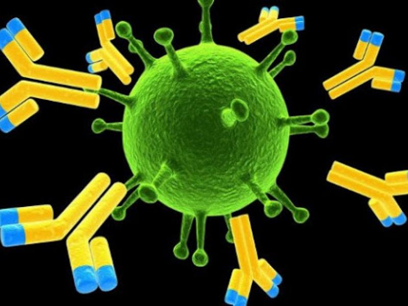 Κοροναϊός: Οσοι έχουν αντισώματα μπορούν να μεταδώσουν τον ιό