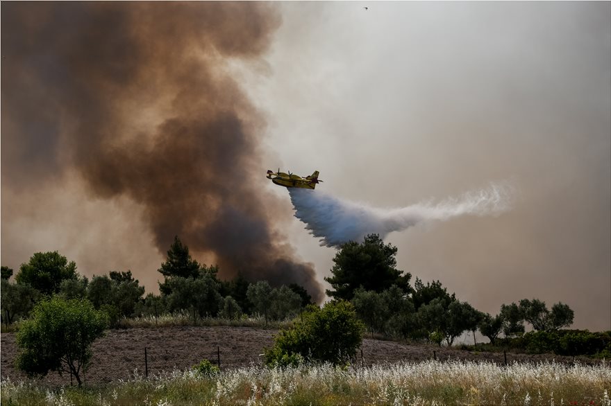 Φωτιά: Μάχη απέναντι σε συνεχείς αναζωπυρώσεις – 55.000 στρέμματα γης και δεκάδες σπίτια έγιναν στάχτη