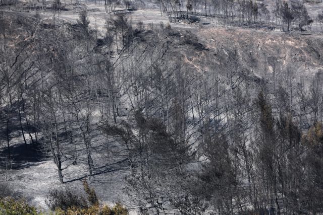 Πυρκαγιά σε Κορινθία και Αλεποχώρι: Μεγάλη καταστροφή …μικρή πολιτική αναταραχή