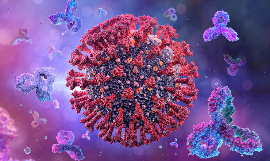 Κοροναϊός: 205 δείγματα μεταλλάξεων