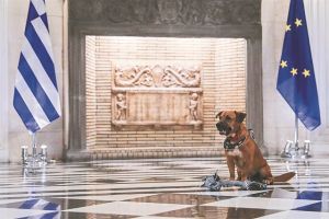 Τρία άρθρα στο επίκεντρο τής αντιπαράθεσης