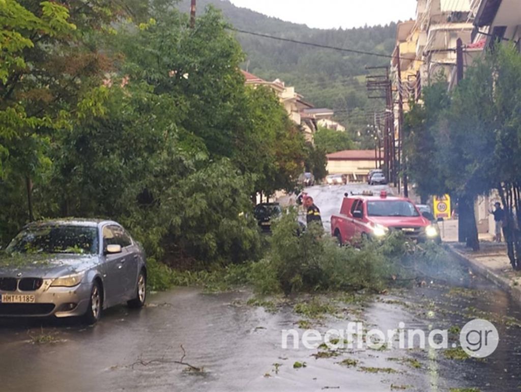 Φλώρινα: Σοβαρές ζημιές στην πόλη και σε καλλιέργειες από την ισχυρή χαλαζόπτωση