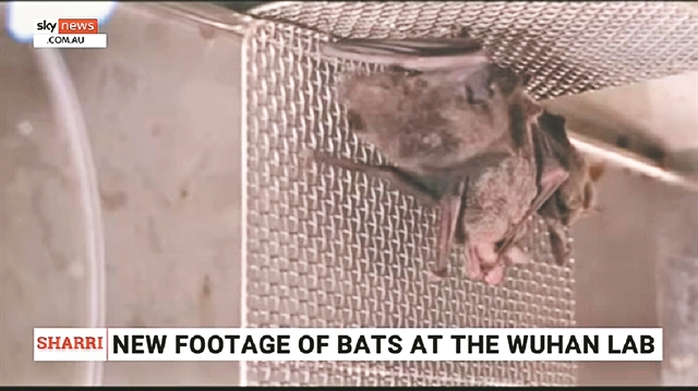 Παράλληλη εμφάνιση του ιού