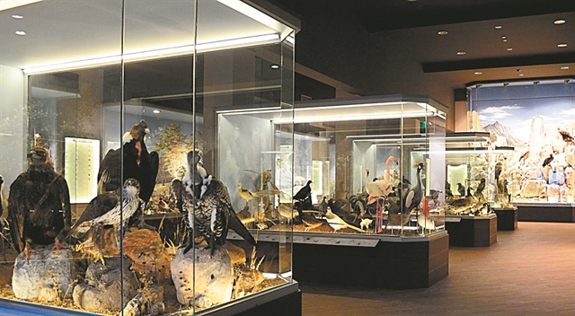 Με 1+1 στο Ηρώδειο