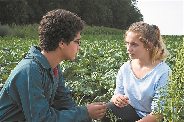Μία ντουζίνα ταινίες