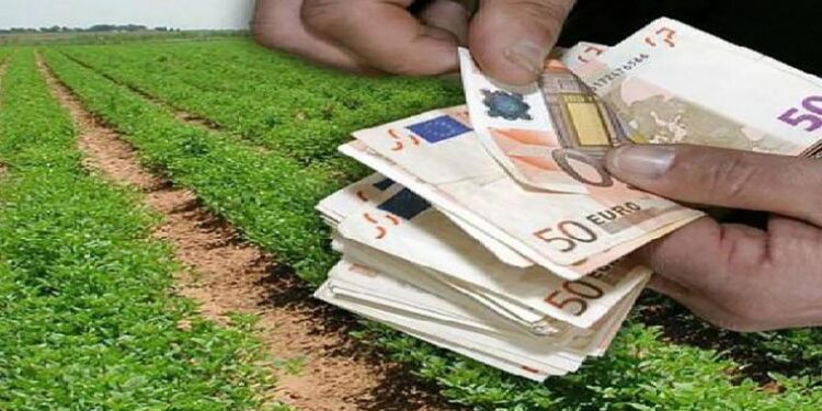 ΟΣΔΕ: Λήγει η εμπρόθεσμη υποβολή – Τι προβλέπεται για μετά