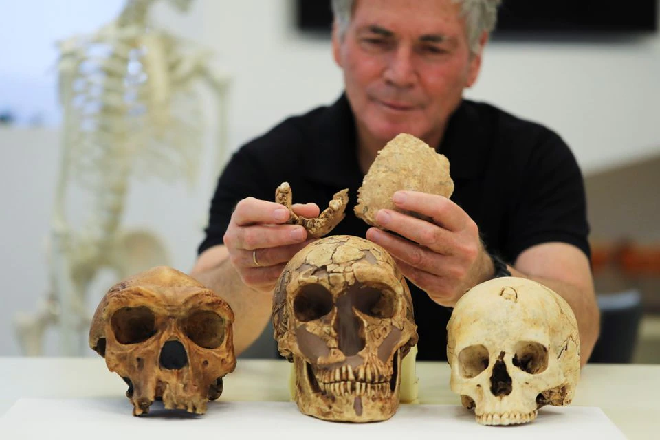 Άγνωστος Homo ανακαλύφθηκε στο Ισραήλ – Πιθανός πρόγονος των Ευρωπαίων Νεάντερταλ