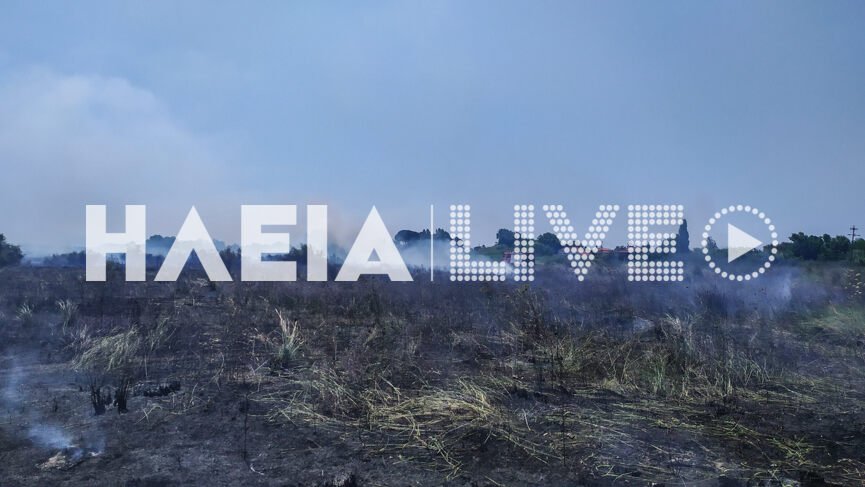 Ηλεία: Πυρκαγιά σε δασική έκταση κοντά στην Κυανή Ακτή